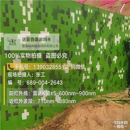 星空迷彩漆，夏令營(yíng)訓(xùn)練,數(shù)碼迷彩作訓(xùn)墻,圍墻